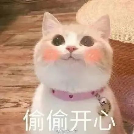 DƬ